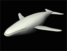 Whale 3D model