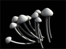 Mushroom 3D model